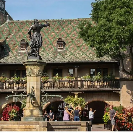 公寓 Coeur D'elsass 