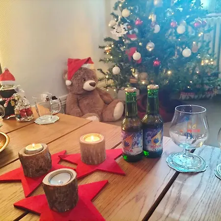 公寓 Coeur D'elsass 