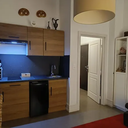 Coeur D'elsass Rappappartement Avec Parking *