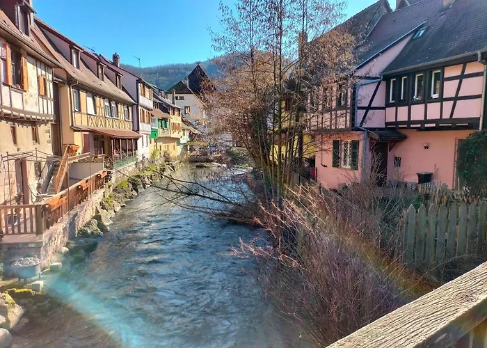 Coeur D'elsass Rappappartement Avec Parking Appartement *