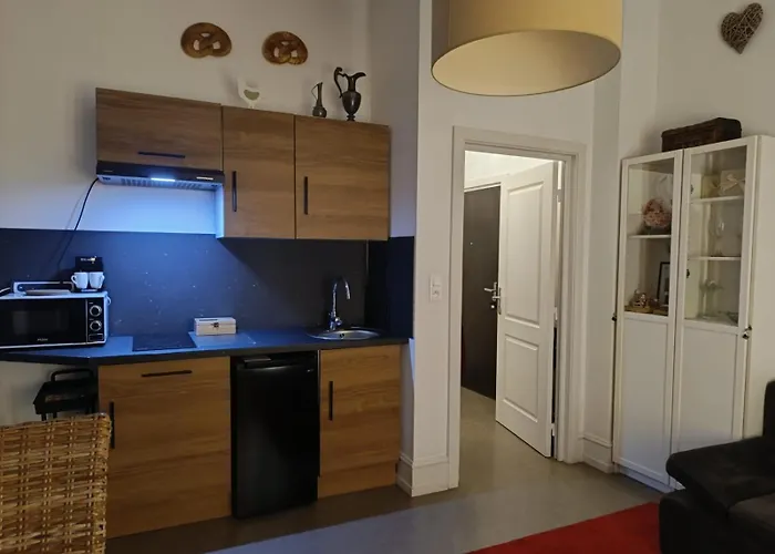 Coeur D'elsass Rappappartement Avec Parking *